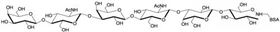 对-乳糖-N-新六糖-BSA, Para-Lacto-N-neohexaose linked to BSA / Para-LNnH-BSA