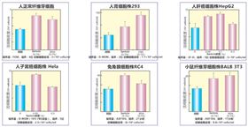 Wako 蚕茧源蛋白-Pure Sericin 纯丝胶