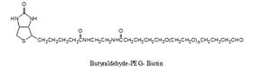 丁醛-PEG-生物素 ButyrAldehyde-PEG-Biotin