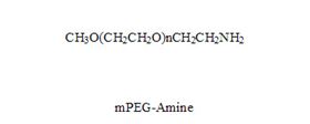 甲氧基聚乙二醇胺 mPEG-Amine