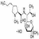 盐酸林可霉素