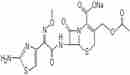 头孢噻肟钠