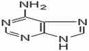 腺嘌呤