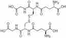 谷胱甘肽 (氧化型)
