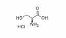 L-半胱氨酸盐酸盐(无水物)