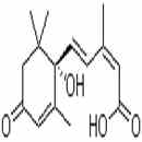 脱落酸 Abscisic acid