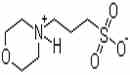 3-(N-吗啡啉)乙磺酸