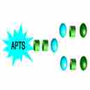 APTS Labeled N-Glycans APTS标记N-多糖