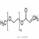 甲氧基聚乙二醇丙烯酸酯   mPEG-Acrylate (MPEG-ACRL)