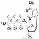 2’-脱氧腺嘌呤-5’-三磷酸