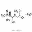 磷酸肌酸二钠盐四水合物