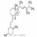 维生素D2 Vitamin D2