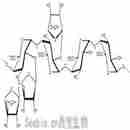 芹半乳糖醛酸多糖(钠盐)