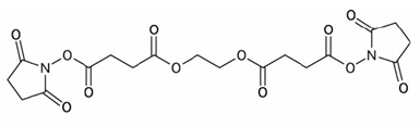 Ethylene Glycoi Bis( succinimidyIsuccinate)|70539-42-3