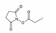 N-Hydroxysuccinimidy lodoacetate|39028-27-8