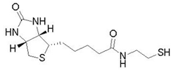 Biotin-SH
