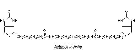生物素-PEG-生物素 Biotin-PEG-Biotin