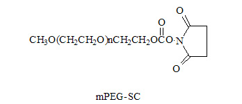 甲氧基聚乙二醇SC酯 mPEG-Succinimidyl Carbonate