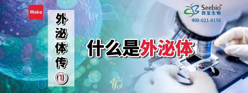 内毒素检测耗材