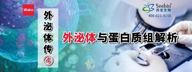 内毒素检测耗材 内毒素检测耗材