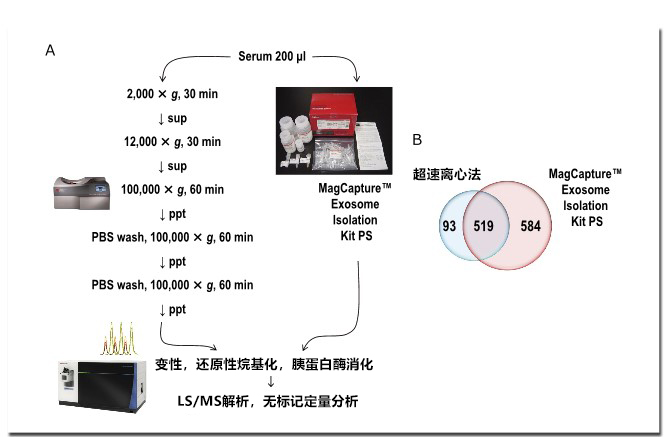 提取纯度对外泌体蛋白质组分析的影响 提取纯度对外泌体蛋白质组分析的影响
