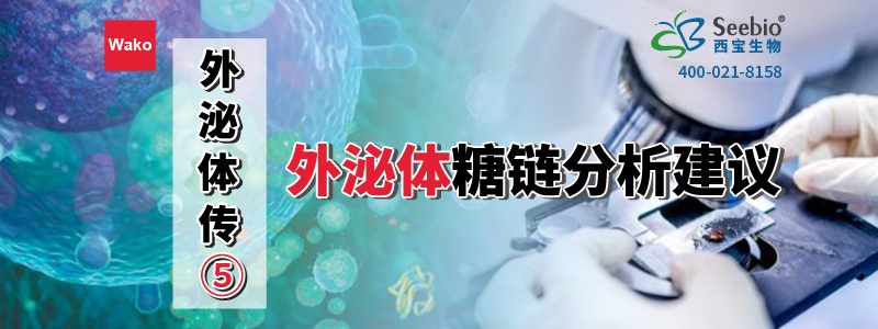 内毒素检测耗材 内毒素检测耗材