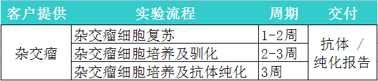 杂交瘤悬浮培养抗体制备服务项目