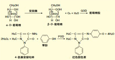 LabAssay™ 葡萄糖检测试剂盒的检测原理