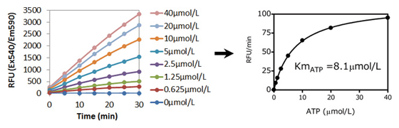 通过实时检测计算PKA的Km(ATP)值