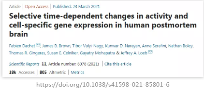 研究发现了一种“僵尸基因”在人死后的几个小时内不仅仍处于活跃状态