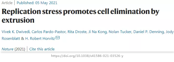 机体内存在另一种细胞主动消亡的机制