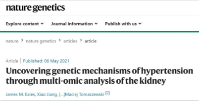 通过肾脏多组学分析揭示高血压的遗传机制