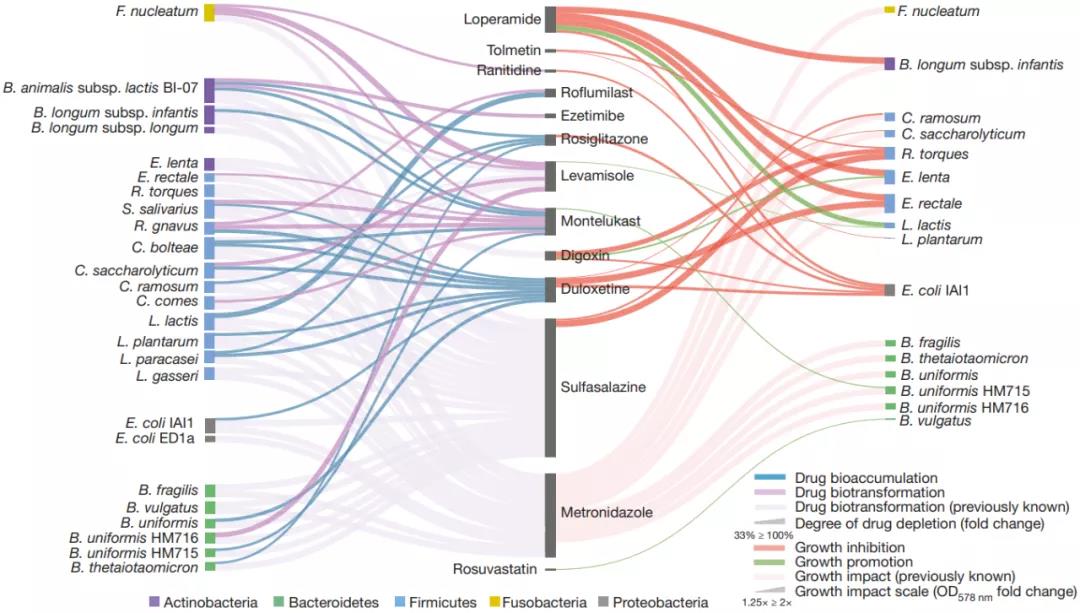25种肠道细菌与15种口服药物相互作用