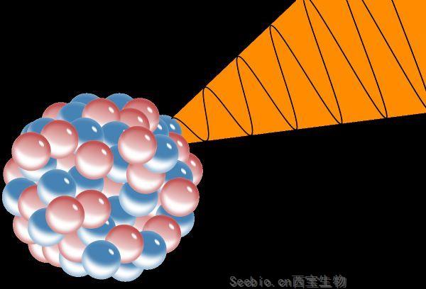 Cell Stem Cell：警惕！低剂量的辐射有利于具有癌变能力的细胞生长增殖！