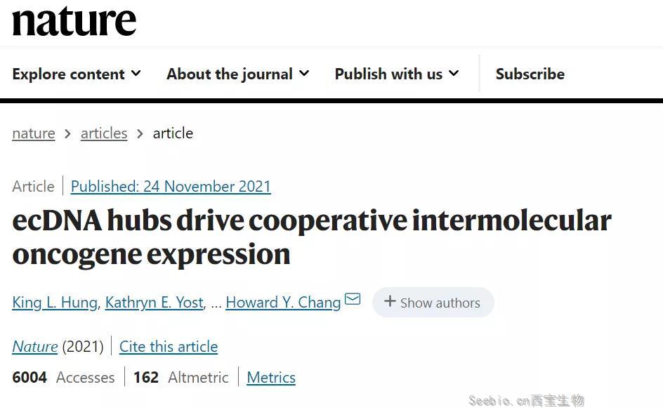 打开抗癌新思路！Nature：<font color='red'>ecDNA</font>“抱团行动”促使癌基因表达扩增