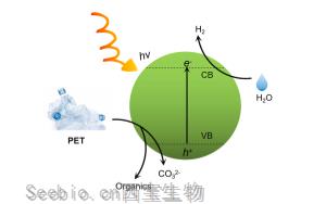 一种革命性的方法：<font color='red'>PET塑料</font>升级回收的突破性创新