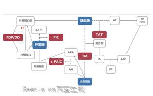 新血栓4项标志物原料助力凝血诊断