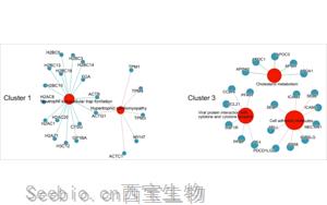 蛋白质组学研究发现重症COVID-19的血浆标志物