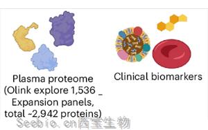 Nature Medicine：<font color='red'>蛋白质组学</font>预测许多不同疾病的发病