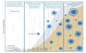 《Nature Neuroscience》阿尔茨海默病不仅仅是神经元