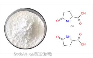 肌肤守护者<font color='red'>吡咯烷酮羧酸锌</font>：保湿、控油、抗痘三合一