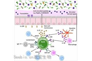 Nature颠覆传统的观点：狼疮肾损伤的惊人机制