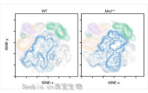 Nature打开了新的大门：一种免疫细胞调节因子可以<font color='red'>减少炎症</font>