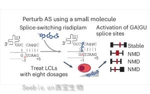 Nature Genetics：惊奇地发现选择性剪接比蛋白质多样性更能影响<font color='red'>基因</font>表达？