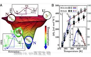 PNAS提出新视角：低温下RNA的新生物化学