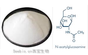 乙酰壳糖胺：自然界中的多功能氨基糖