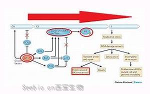 《Nature》肠道中的某些大肠杆菌如何促进结肠癌？