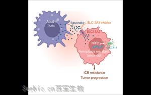 Cancer Cell发现了一些癌症对免疫治疗没有反应的关键原因：代谢机制阻碍免疫反应