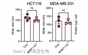 Nature Cancer：肿瘤细胞分泌的<font color='red'>EV-DNA</font>作为一种“危险”信号，促进抗转移性免疫反应