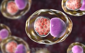 Cell：微生物组的变化预测性传播疾病的风险